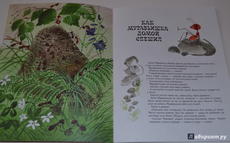Иллюстрация 28 из 33 для Как муравьишка домой спешил - Виталий Бианки | Лабиринт - книги. Источник: leontyua