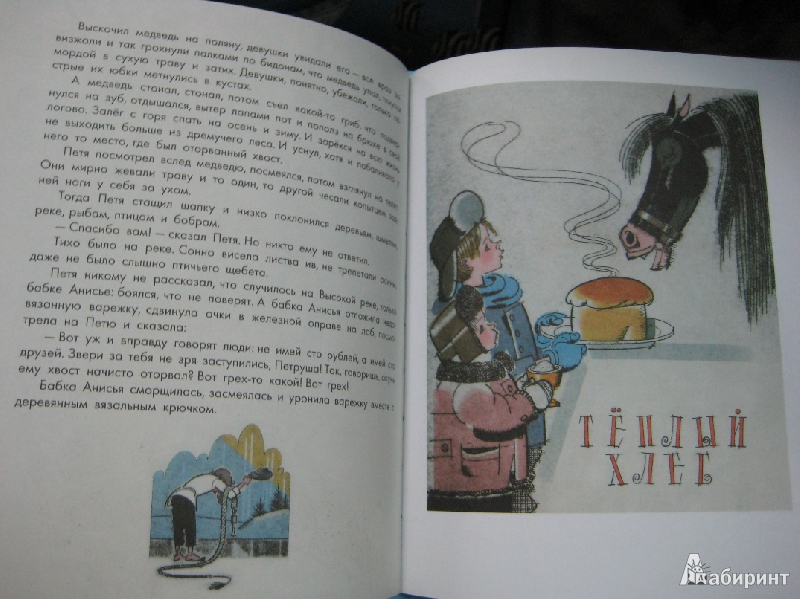 Иллюстрация 11 из 35 для Три сказки - Константин Паустовский | Лабиринт - книги. Источник: Макарова  Елена