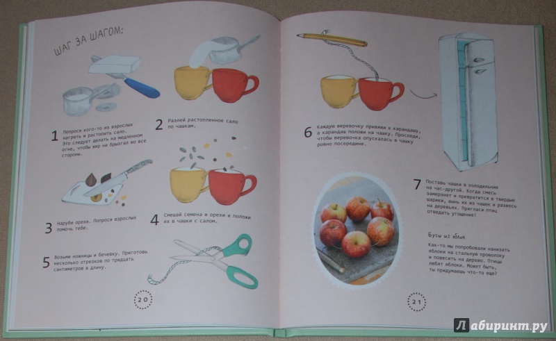 Иллюстрация 21 из 28 для Огород на подоконнике - Линдстрем, Нюберг | Лабиринт - книги. Источник: Книжный кот