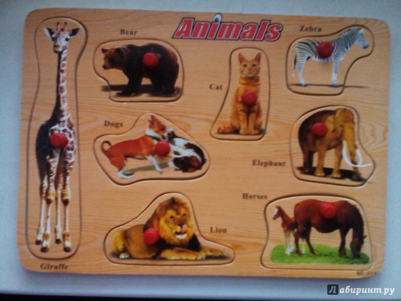 Иллюстрация 1 из 3 для Animals (животные) | Лабиринт - игрушки. Источник: Klementinchen