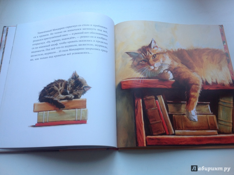Иллюстрация 69 из 182 для Елка, кот и Новый год - Мартынова, Василиади | Лабиринт - книги. Источник: Екатерина