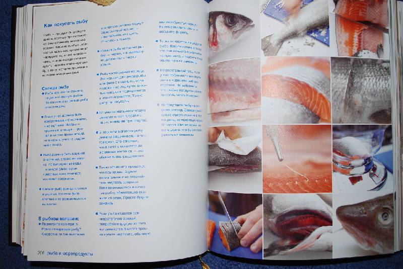 Иллюстрация 24 из 36 для Готовим с Джейми. Руководство по превращению в повара - Джейми Оливер | Лабиринт - книги. Источник: Azarika