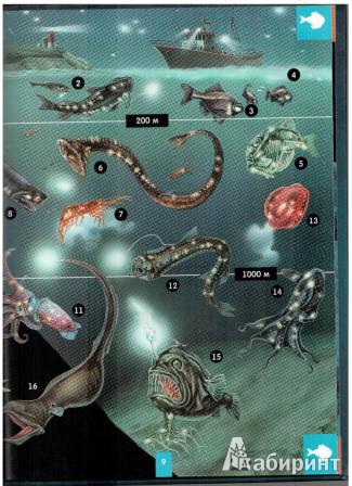 Иллюстрация 4 из 24 для Светящаяся книга о подводном мире - Николас Харрис | Лабиринт - книги. Источник: gabi