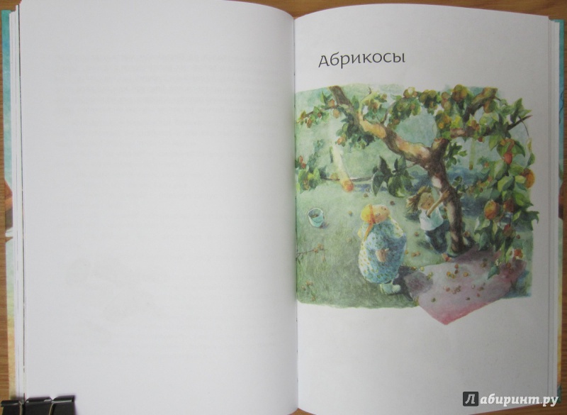 Иллюстрация 17 из 32 для Велькино детство - Алексей Олейников | Лабиринт - книги. Источник: Пирогова  Ольга