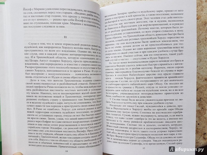 Иллюстрация 17 из 25 для Иешуа, царь Иудейский - Виктор Юнак | Лабиринт - книги. Источник: Кабацкая  Алина