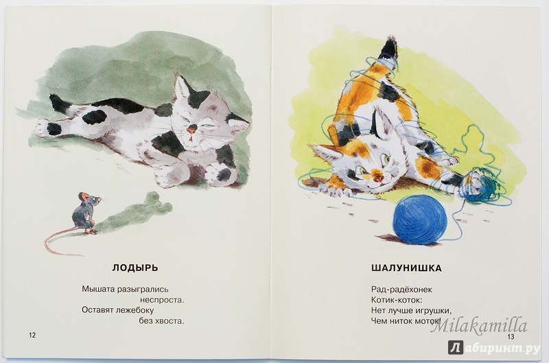 Иллюстрация 40 из 64 для Посмотрите какие котята - Владимир Матвеев | Лабиринт - книги. Источник: Букландия