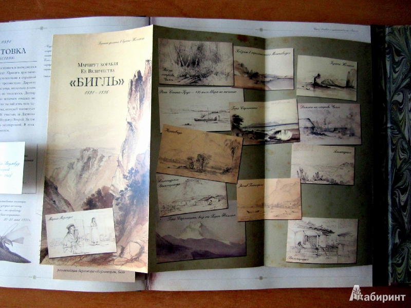 Иллюстрация 30 из 54 для Чарлз Дарвин и путешествие на "Бигле" - Твист, Вуд | Лабиринт - книги. Источник: Валерия