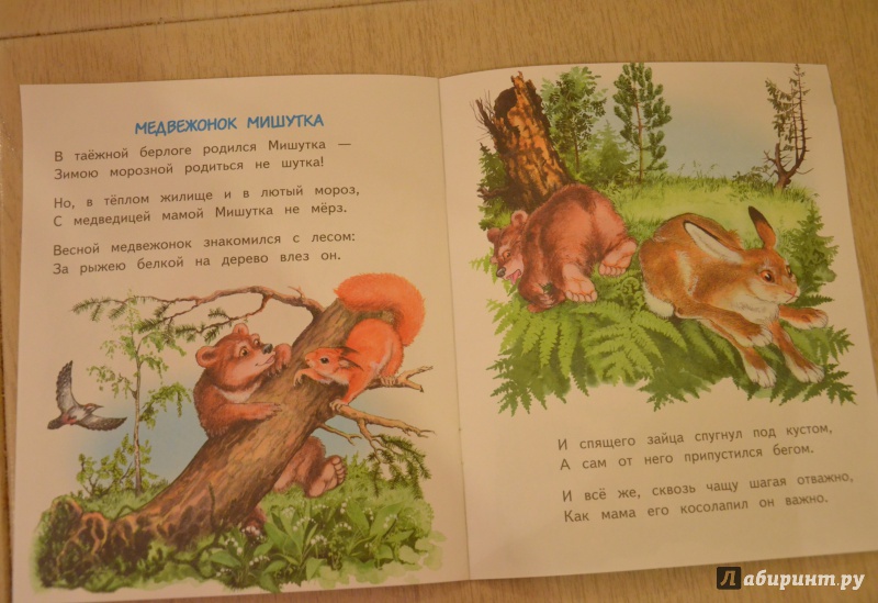 Иллюстрация 16 из 32 для Слонёнок Санни - Владимир Борисов | Лабиринт - книги. Источник: QZX