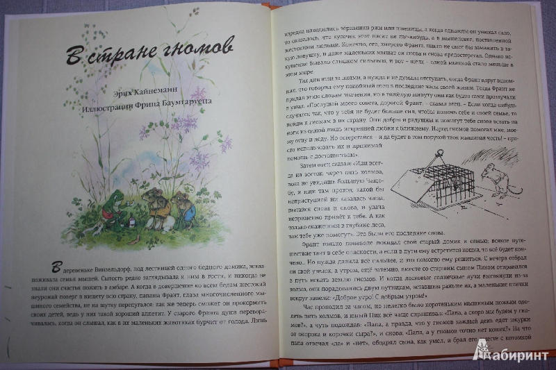 Иллюстрация 21 из 78 для В стране гномов - Эрих Хайнеманн | Лабиринт - книги. Источник: Михайлова Алексия