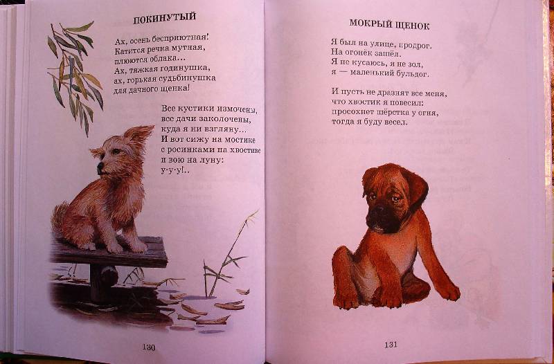 Иллюстрация 6 из 37 для Сказки, стихи, рассказы о животных | Лабиринт - книги. Источник: samuel whiskers