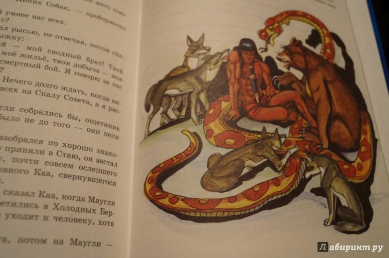 Иллюстрация 61 из 64 для Маугли - Редьярд Киплинг | Лабиринт - книги. Источник: Тухкина  Евгения