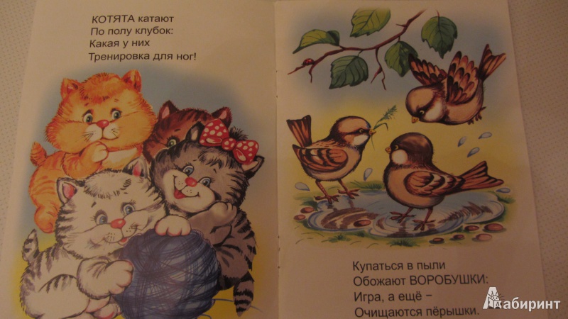 Иллюстрация 3 из 31 для Игротека - Владимир Борисов | Лабиринт - книги. Источник: Iwolga