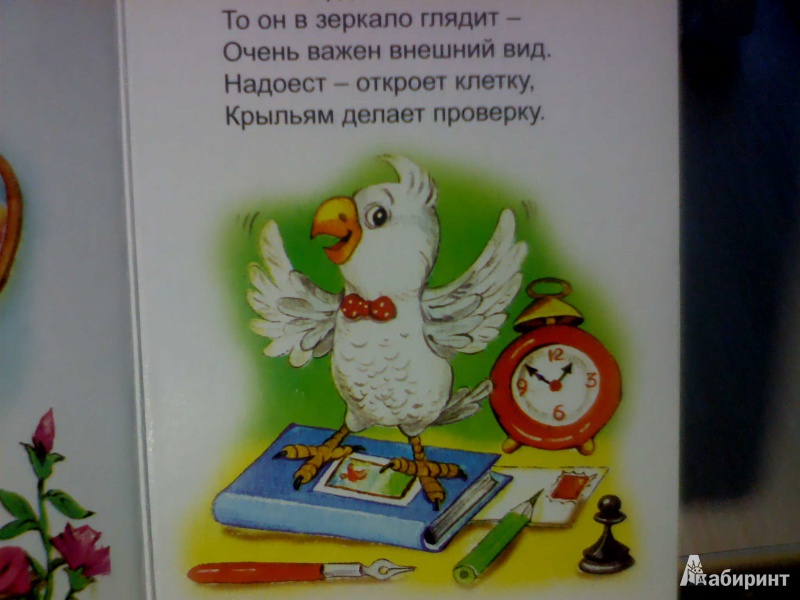 Иллюстрация 3 из 19 для Попугай Гоша: Стихи - Владимир Борисов | Лабиринт - книги. Источник: Evgenya Ya