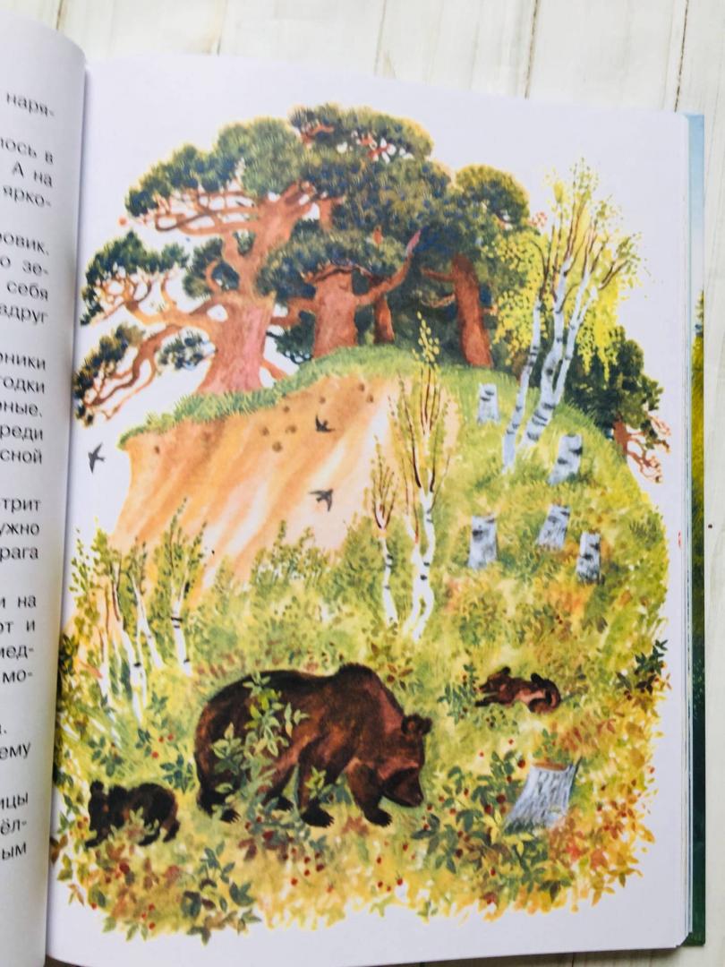 Иллюстрация 131 из 134 для Рассказы о природе для детей - Коваль, Скребицкий, Соколов-Микитов | Лабиринт - книги. Источник: Кудрина  Оксана