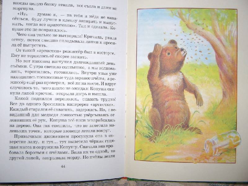 Иллюстрация 6 из 12 для Питомцы зоопарка - Вера Чаплина | Лабиринт - книги. Источник: Читательница