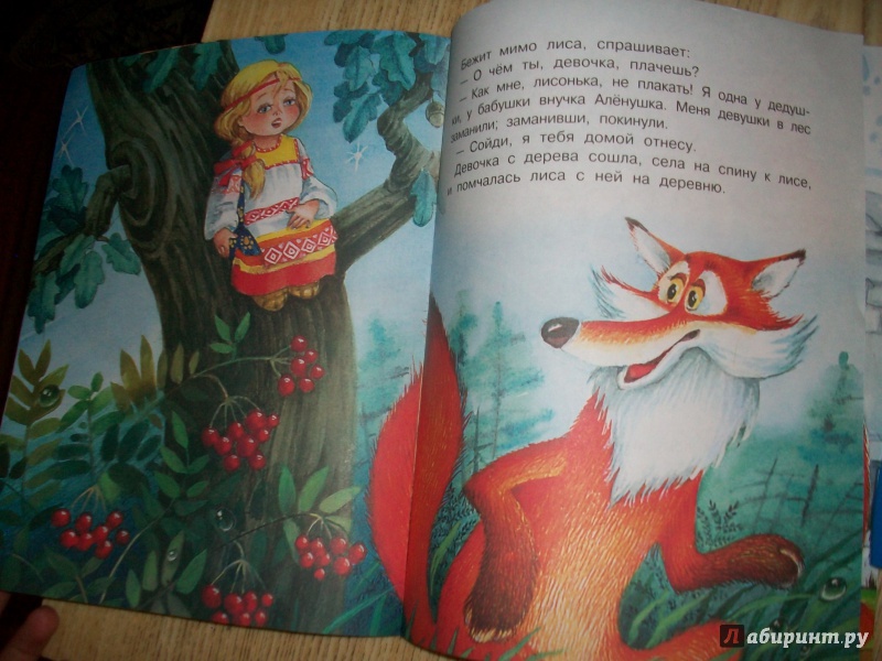 Иллюстрация 15 из 16 для Девочка и лиса | Лабиринт - книги. Источник: Надежда