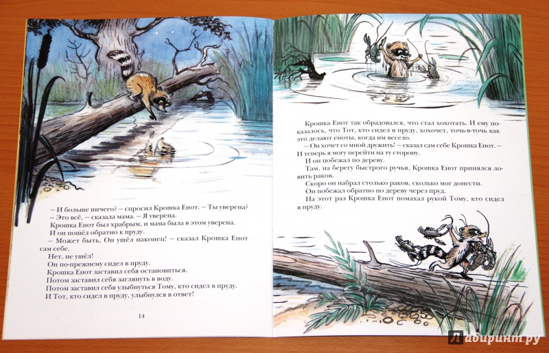 Иллюстрация 75 из 97 для Крошка Енот и тот, кто сидит в пруду - Лилиан Муур | Лабиринт - книги. Источник: Tatiana_Ru