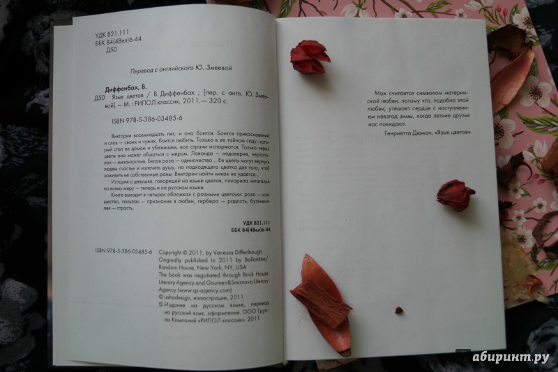 Иллюстрация 11 из 18 для Язык цветов. Тюльпан - признание в любви - Ванесса Диффенбах | Лабиринт - книги. Источник: Veronika Alexandrovna