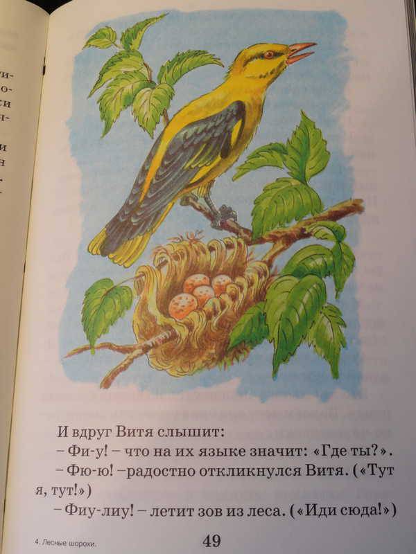 Иллюстрация 11 из 15 для Лесные шорохи - Николай Сладков | Лабиринт - книги. Источник: anandaplus