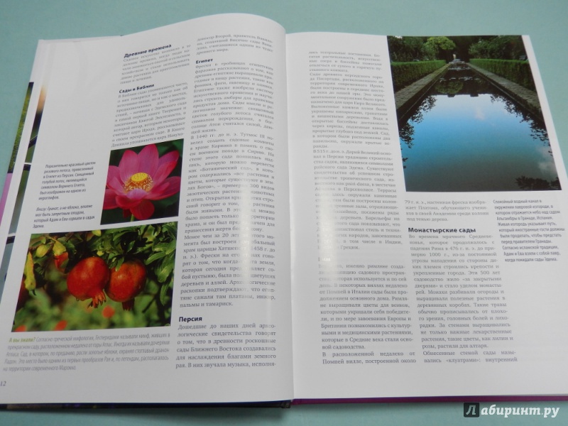 Иллюстрация 5 из 14 для Энциклопедия садового дизайна - Киртон, Шиканян | Лабиринт - книги. Источник: dbyyb