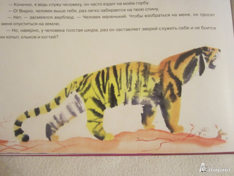 Иллюстрация 33 из 35 для Глупый тигр. Тибетская народная сказка | Лабиринт - книги. Источник: ЮлияО