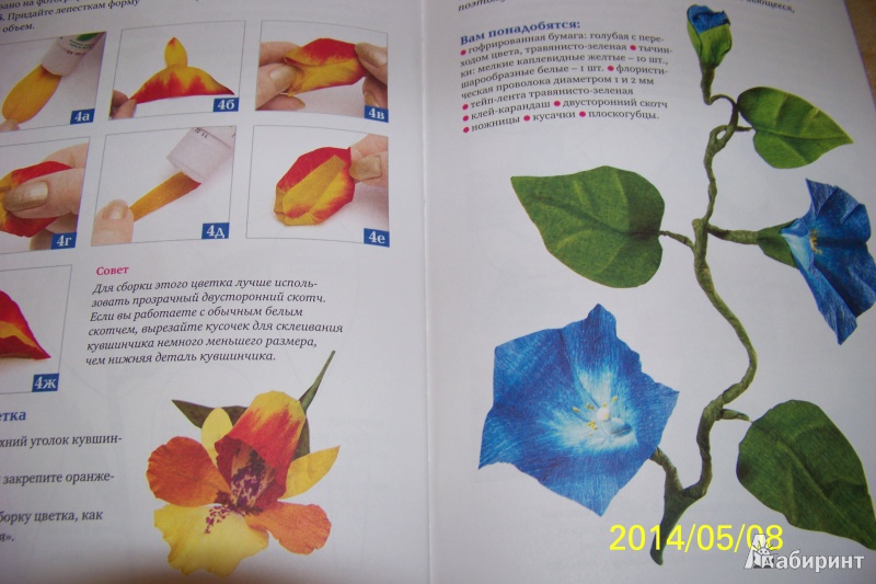 Иллюстрация 9 из 14 для Цветы из гофрированной бумаги: мастер-классы дляначинающих - Анна Зайцева