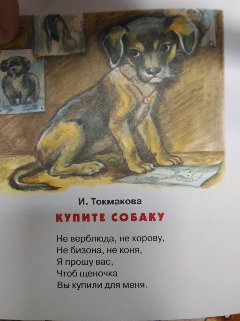 Давай купил собаку. Купите собаку Токмакова. Стих про собаку. Стихотворение купите собаку.