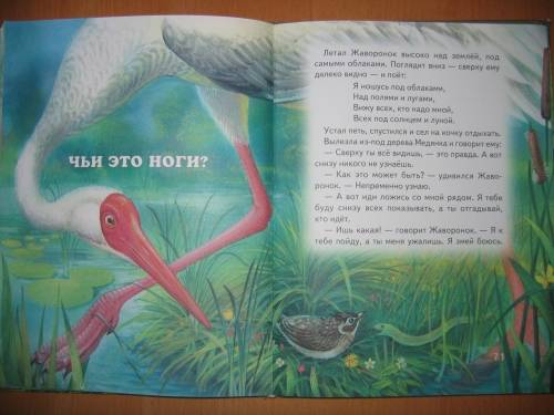 Иллюстрация 26 из 27 для Сказки о животных - Виталий Бианки | Лабиринт - книги. Источник: Кулёма