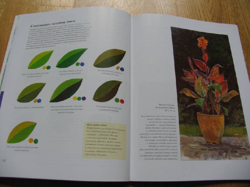 Иллюстрация 7 из 12 для Рисуем цветы акриловыми красками - Кэрол Месси | Лабиринт - книги. Источник: ВВС