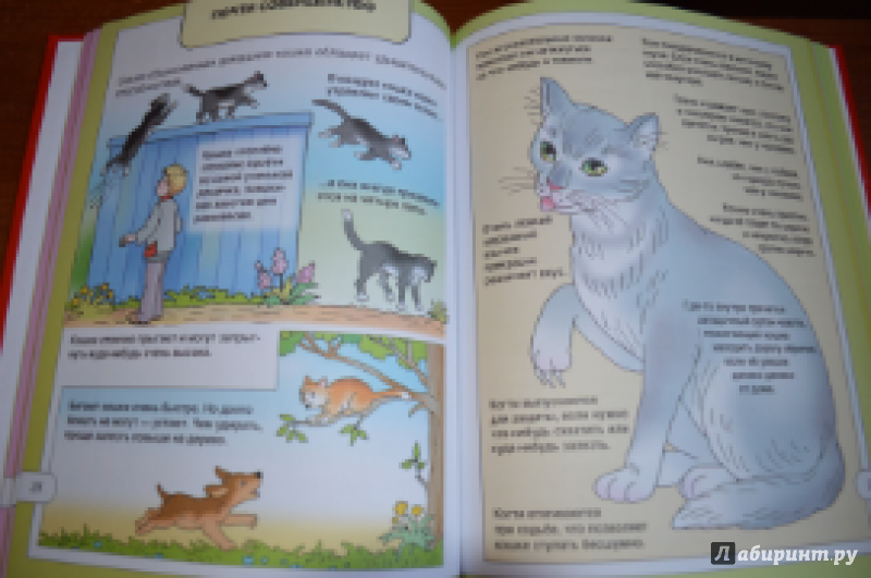 Иллюстрация 12 из 37 для Мой любимый котенок - Елена Запесочная | Лабиринт - книги. Источник: тася