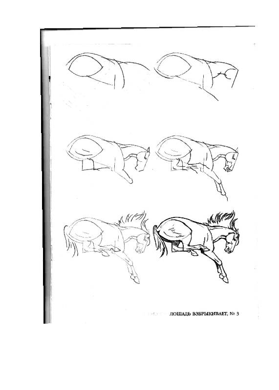 Иллюстрация 20 из 24 для Рисуем 50 лошадей - Ли Эймис | Лабиринт - книги. Источник: Юта