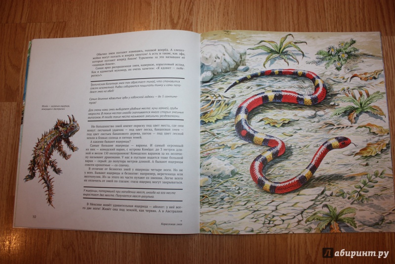 Иллюстрация 35 из 44 для Рептилии - Николай Сладков | Лабиринт - книги. Источник: Bradbury