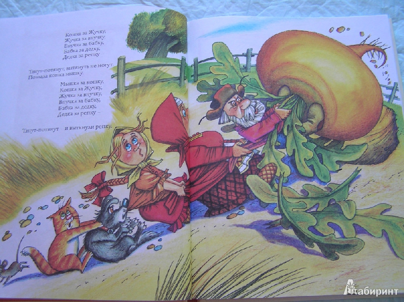 Иллюстрация 8 из 15 для Теремок. Русские народные сказки | Лабиринт - книги. Источник: Хазраткулова  Екатерина