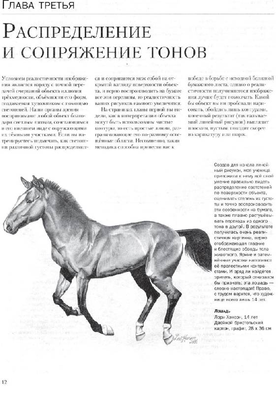 Иллюстрация 1 из 24 для Учимся рисовать лошадей вместе с Ли Хэммонд - Ли Хэммонд | Лабиринт - книги. Источник: Кнопа2