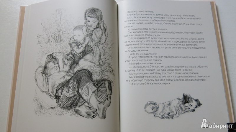 Иллюстрация 11 из 44 для Леля и Минька - Михаил Зощенко | Лабиринт - книги. Источник: misago