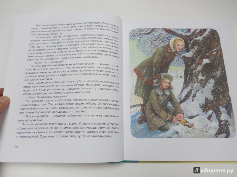 Иллюстрация 7 из 38 для Рассказы для детей - Юрий Нагибин | Лабиринт - книги. Источник: dbyyb