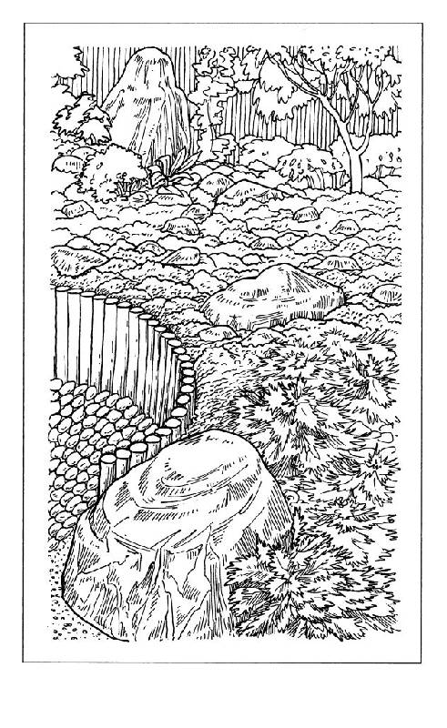 Иллюстрация 36 из 40 для Фантазии из камня для вашего сада - Анна Зайцева | Лабиринт - книги. Источник: фиалка