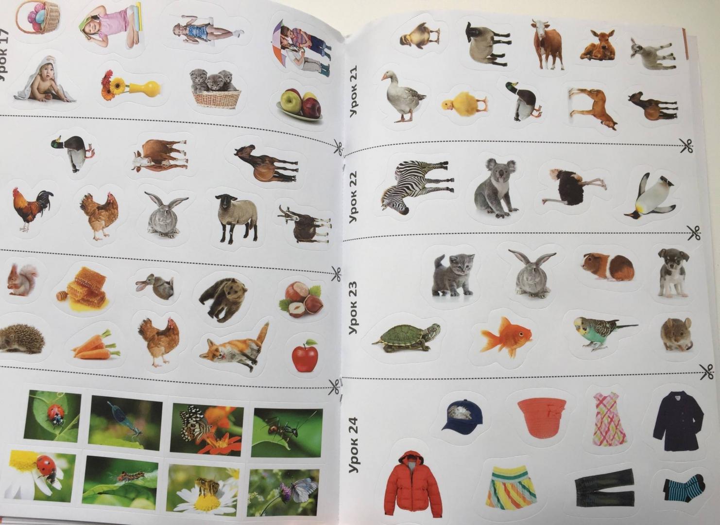 Иллюстрация 29 из 32 для Английский для детей без учителей. Часть 3 (+CD) - Елена Путилина | Лабиринт - книги. Источник: u_p