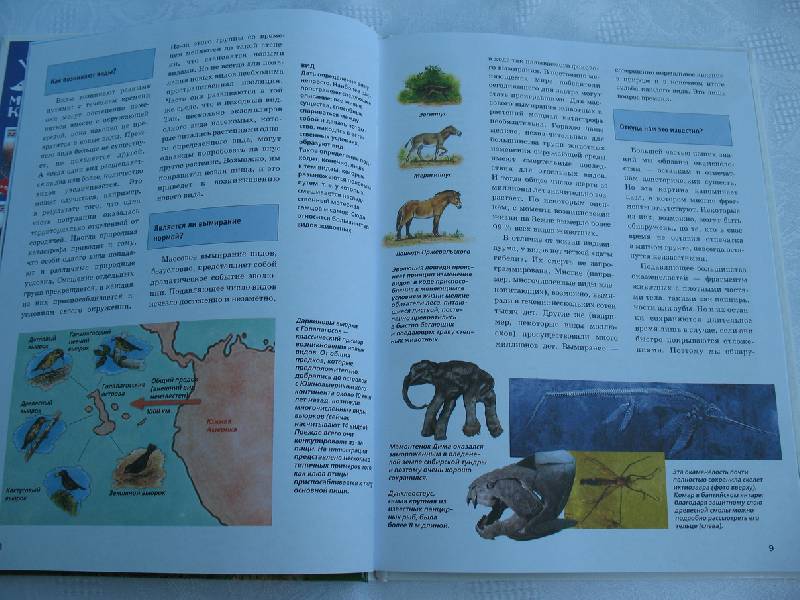 Иллюстрация 5 из 15 для Вымершие и вымирающие животные - Дитмар Мертенс | Лабиринт - книги. Источник: tayana