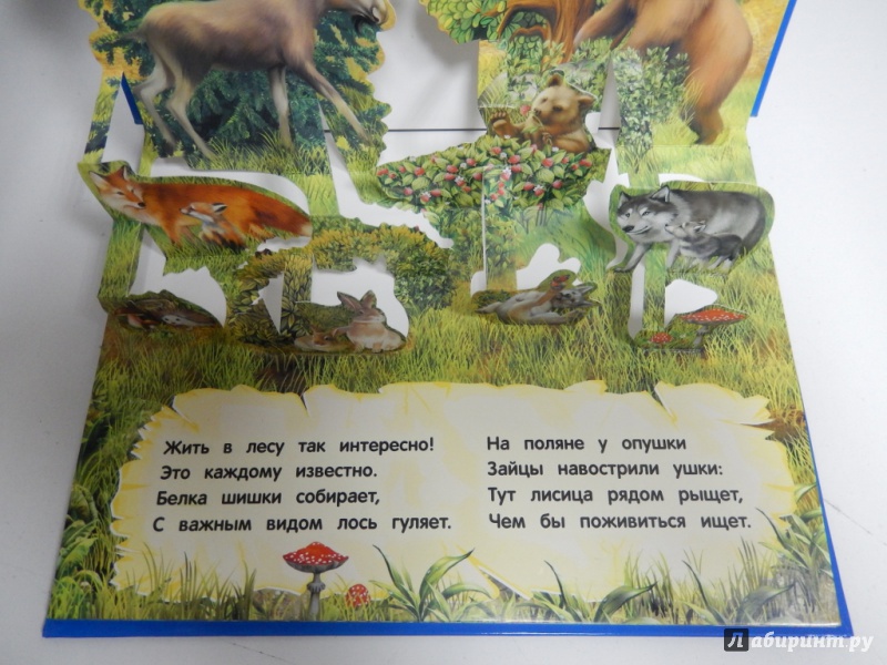 Иллюстрация 3 из 10 для Дикие животные - Таисия Мазаник | Лабиринт - книги. Источник: dbyyb