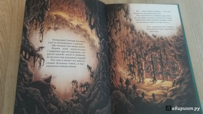 Иллюстрация 12 из 32 для Волшебный корень - Сиссель Бёэ | Лабиринт - книги. Источник: Панченко  Анна