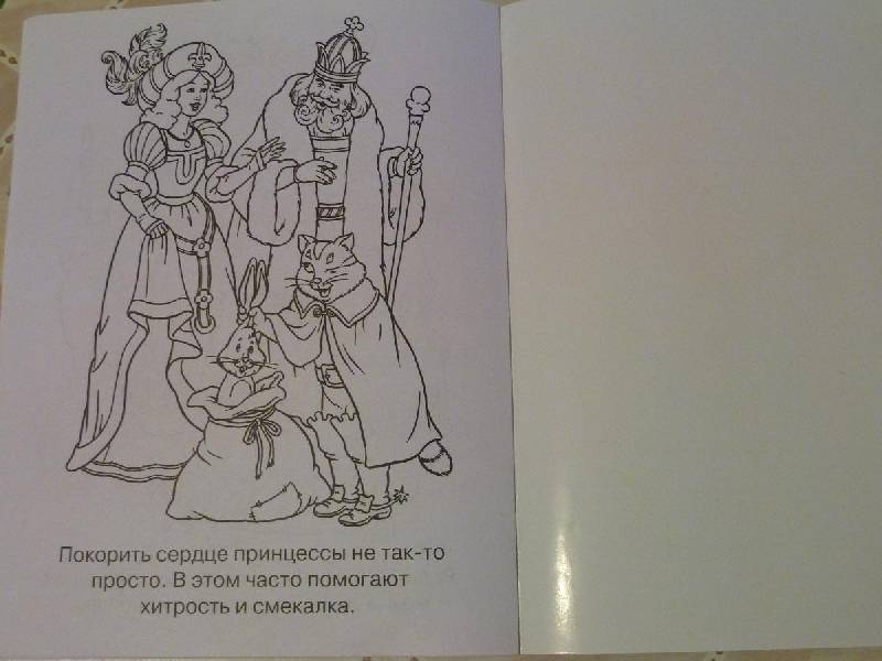 Иллюстрация 16 из 21 для Мечты принцесс. Голубая книжка. Раскраска | Лабиринт - книги. Источник: Терра