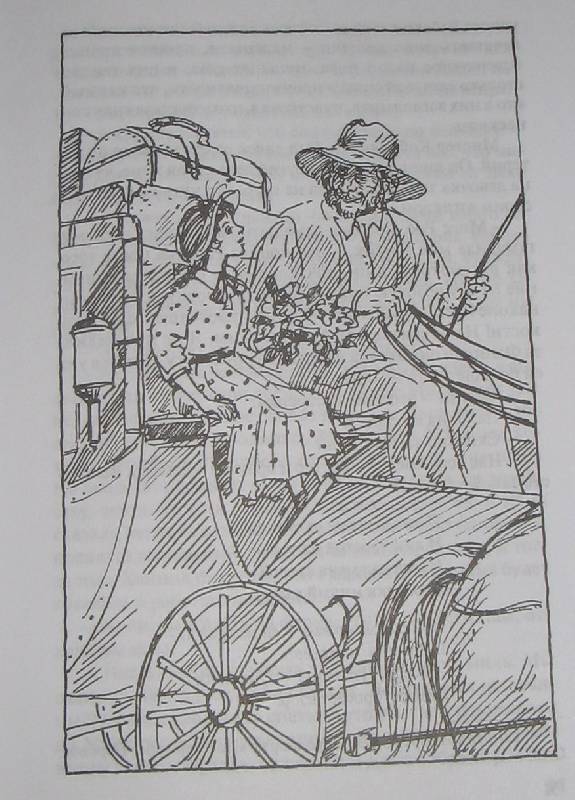 Иллюстрация 2 из 12 для Ребекка с фермы "Солнечный Ручей" - Кейт Уиггин | Лабиринт - книги. Источник: Читательница