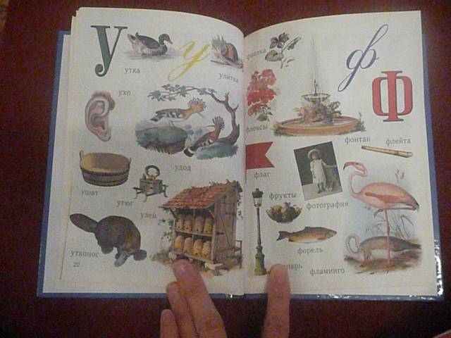 Иллюстрация 10 из 18 для Азбука в картинках. Книга 1 (от 2 до 5 лет) - Наталия Астахова | Лабиринт - книги. Источник: КалинаМалина