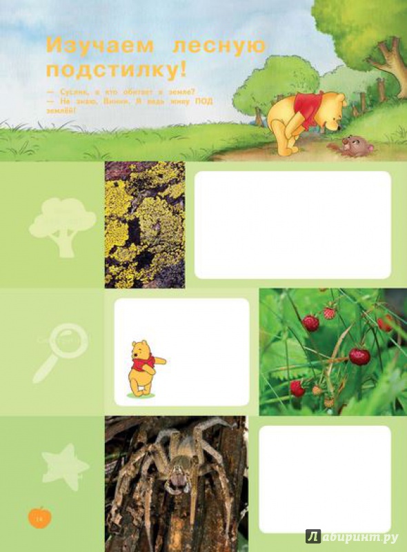 Иллюстрация 12 из 60 для Земля (Winnie the Pooh) | Лабиринт - книги. Источник: Екатерина