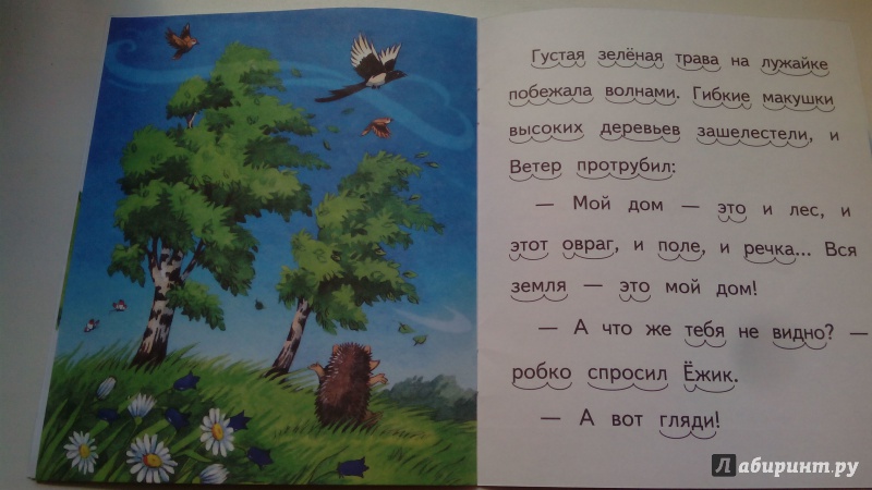 Где живет ветров. Где живет ветер Ярославцев. Книга живой ветер центр. Н. Красильников гость в лесу стихотворение. Читаем по слогам где живет ветер.