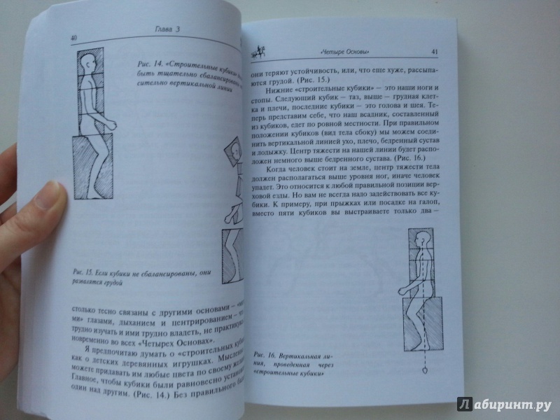 Иллюстрация 13 из 19 для Как достичь совершенства в верховой езде. Навыки центрированной верховой езды - Салли Свифт | Лабиринт - книги. Источник: VALERIYA
