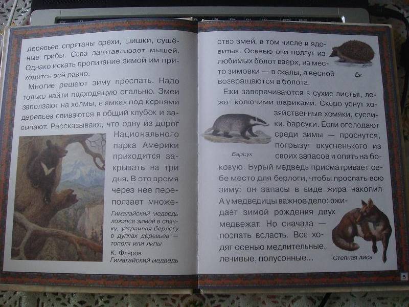 Иллюстрация 2 из 15 для Путешествия животных - Марк Шварц | Лабиринт - книги. Источник: Юлия С.