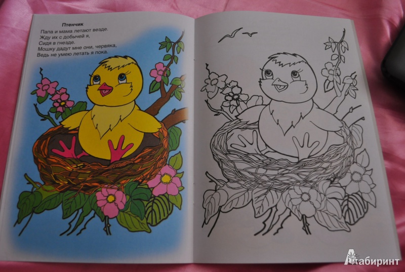 Иллюстрация 4 из 8 для Детки животных - Виктор Хесин | Лабиринт - книги. Источник: mashikmur