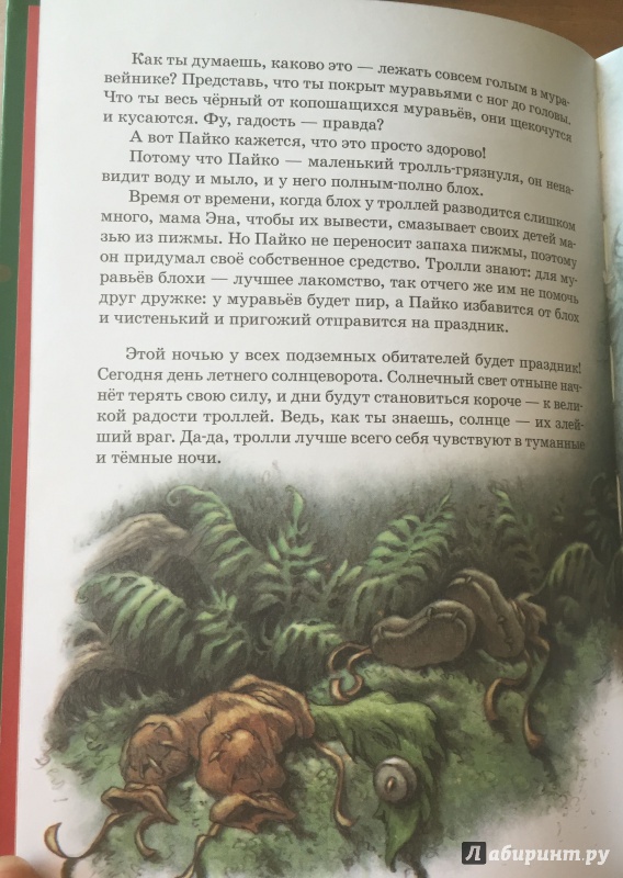 Иллюстрация 5 из 14 для Праздник в лесу - Сиссель Бёэ | Лабиринт - книги. Источник: Эльвира Булгакова